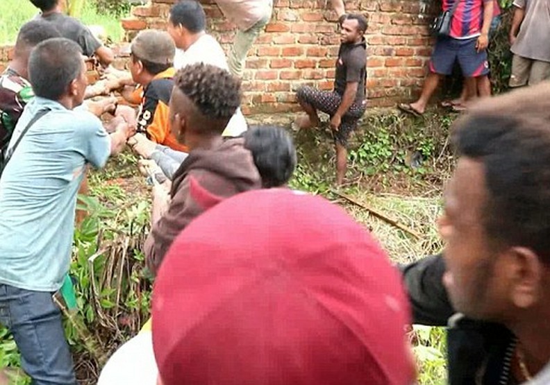 何等的荒謬？一名村民被鱷魚咬死，而他同胞屠殺近300隻鱷魚報復_img_2