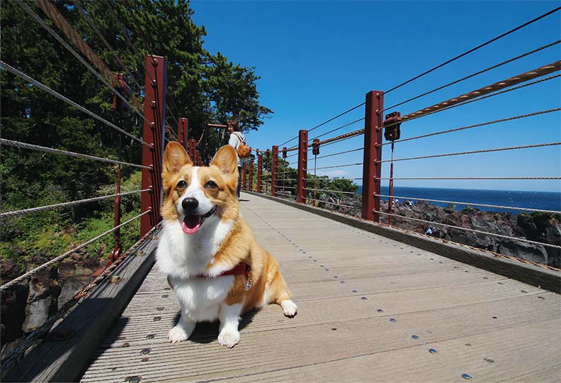 最浪漫的事，就是和你一起旅行_img_2