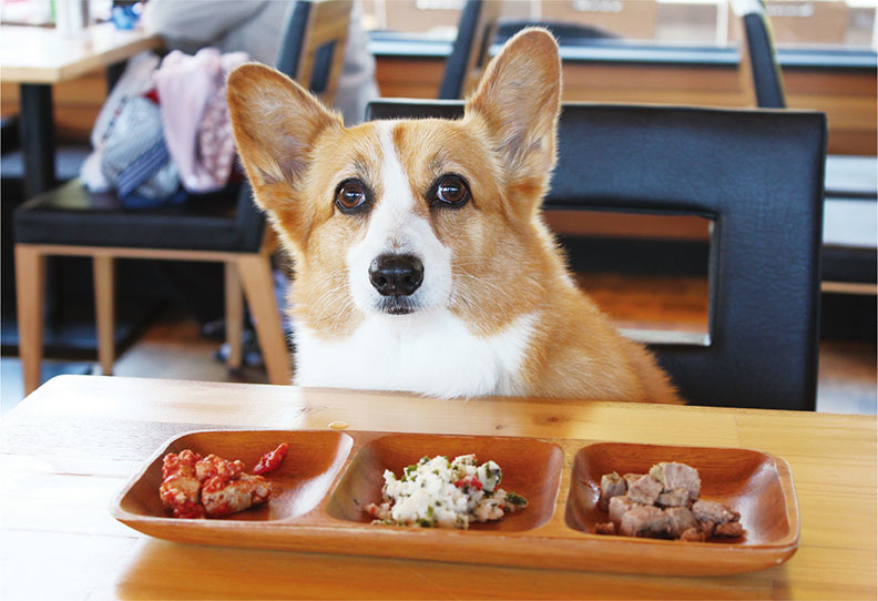 最浪漫的事，就是和你一起旅行_img_3