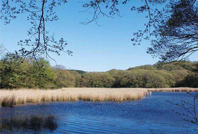 最浪漫的事，就是和你一起旅行_img_4