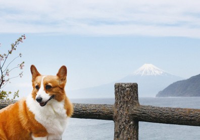 最浪漫的事，就是和你一起旅行