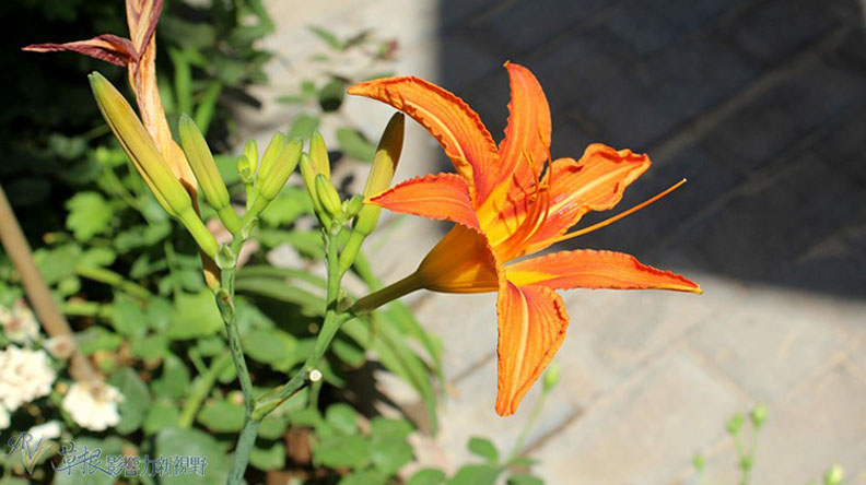 現代化的古代記憶 甘肅河口古鎮_img_11