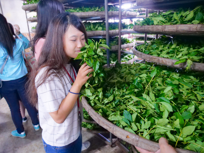 用心溯源 吃出食材「真」滋味_img_1