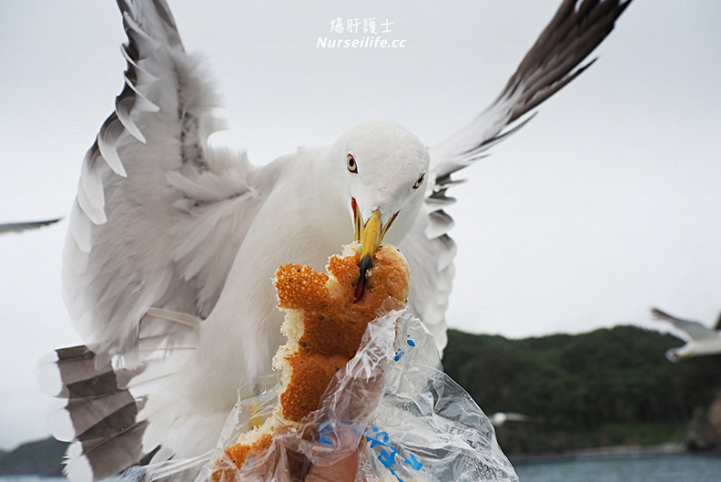 日本世界級遺產!此生必去的岩手溫泉之旅_img_13