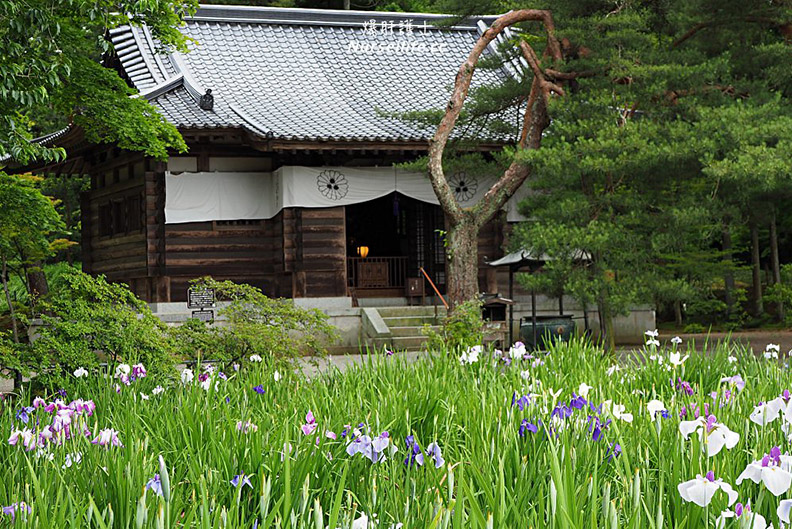 日本世界級遺產!此生必去的岩手溫泉之旅_img_15