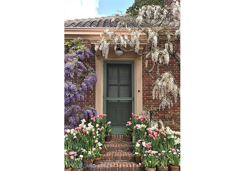 賞花極致體驗!見證北加州費羅麗莊園之美_img_4