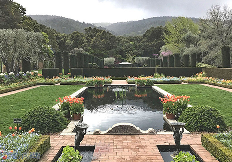 賞花極致體驗!見證北加州費羅麗莊園之美_img_7