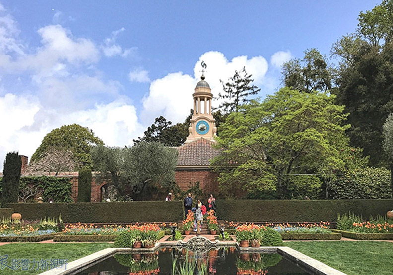 賞花極致體驗!見證北加州費羅麗莊園之美_img_9