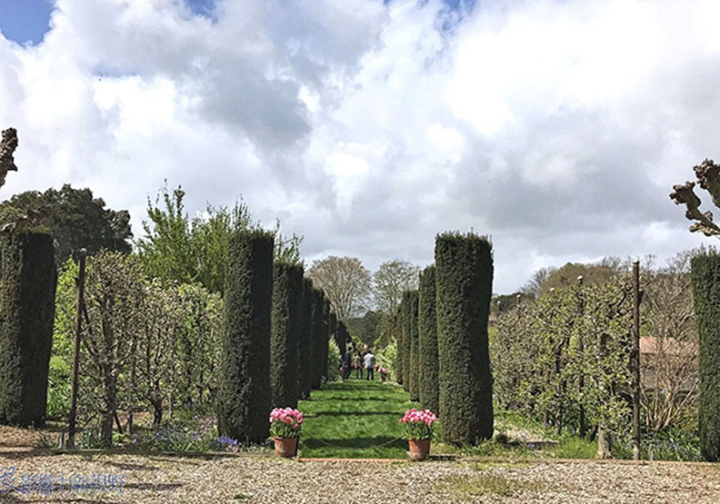 賞花極致體驗!見證北加州費羅麗莊園之美_img_14