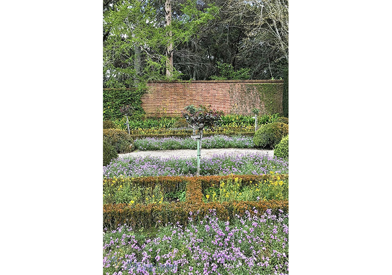 賞花極致體驗!見證北加州費羅麗莊園之美_img_16