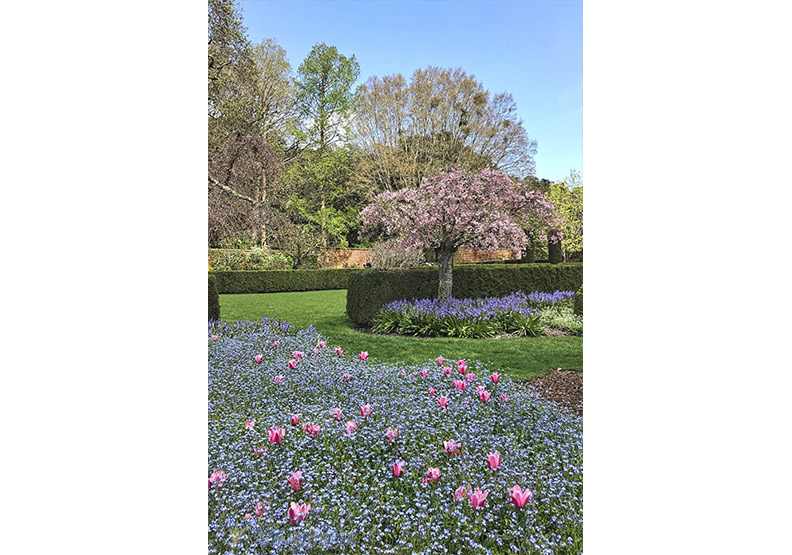 賞花極致體驗!見證北加州費羅麗莊園之美_img_17