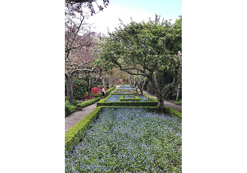 賞花極致體驗!見證北加州費羅麗莊園之美_img_19