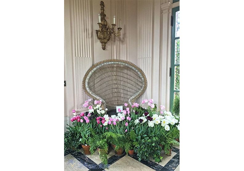 賞花極致體驗!見證北加州費羅麗莊園之美_img_21