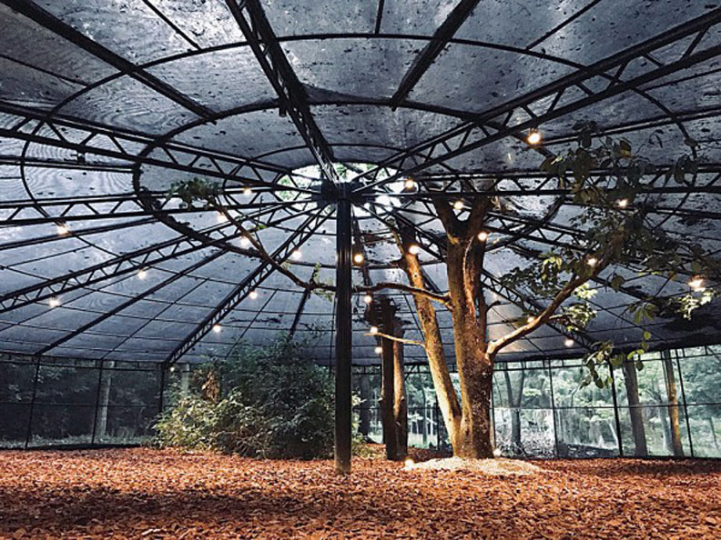 集合跨界創意！森林大學300公尺「毛毛蟲」長廊_img_1