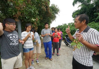 「高雄一日農夫」成功建立6級產業