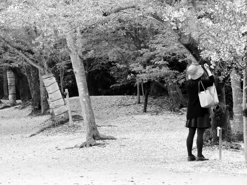 善意的謊言？人也可能溺死在自己編造的謊言中_img_1