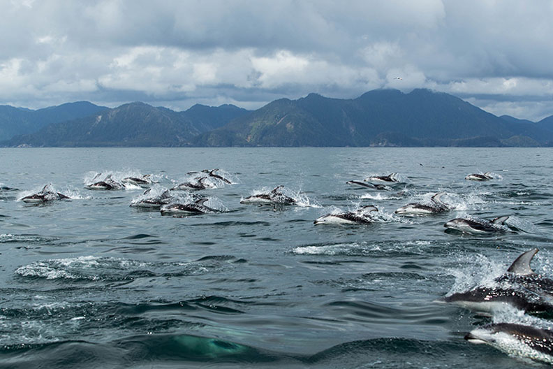 搭直升機才能抵達！漂浮在寧靜海中的旅館_img_5