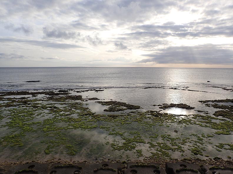 揭露台灣觀光敗象,外國人真正愛的台灣特色有這些!_img_1