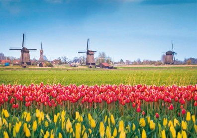 荷蘭農業有多強？