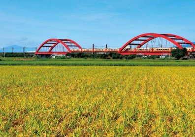 台灣農業怎麼了