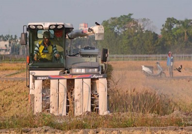 農業與政治的歷史共業