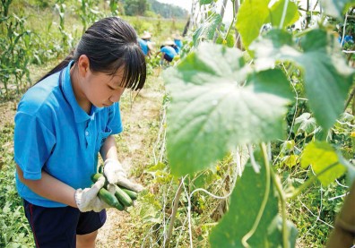 知識農業將成為改變的力量