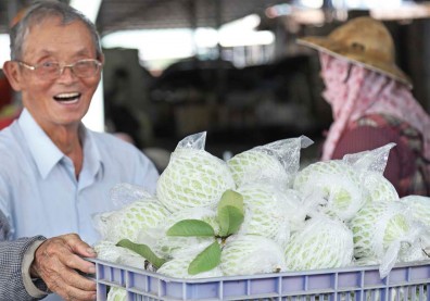 穩定與分流的芭樂哲學