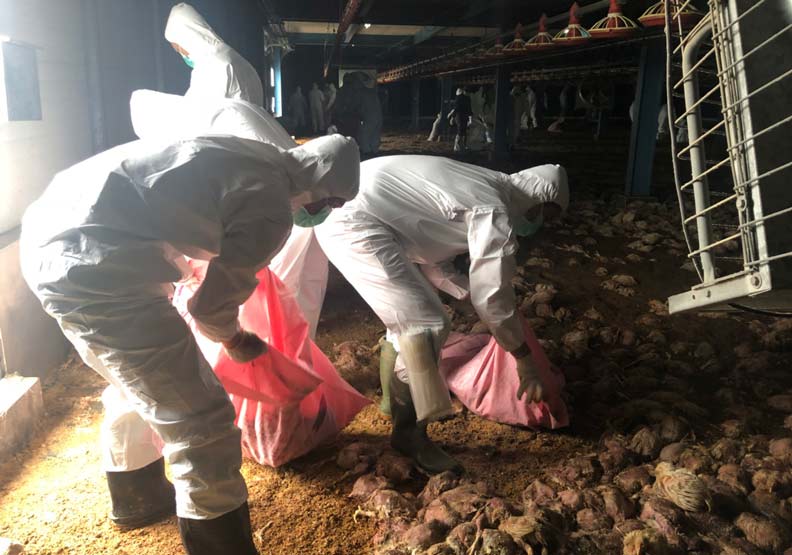平平都是農民,他不怕823水災還能出國考察!_img_5