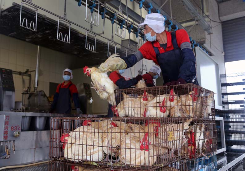 平平都是農民,他不怕823水災還能出國考察!_img_1