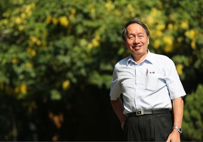 葉錫東的木瓜賣翻全大陸 為何在台25年不能種？