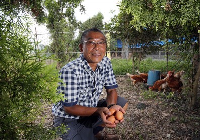 王武隆讓雞開心趴趴走 不施藥也能對抗禽流感