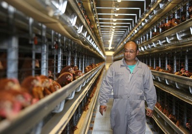 胡明鑫拿身家當資本 砸3億打造蛋雞豪宅