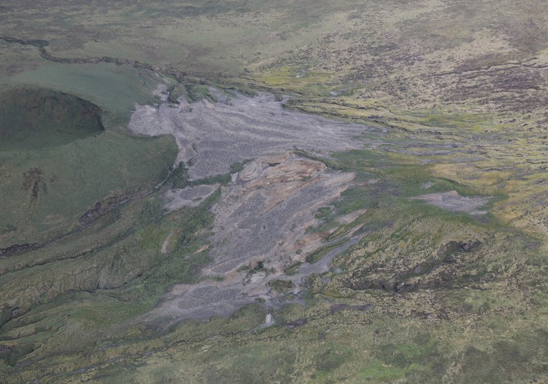 人類傷害還不夠?企鵝島內企鵝消失90%,恐上演北極熊悲劇_img_2