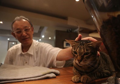 拯救流浪貓兼助人 撫平說不出口的痛