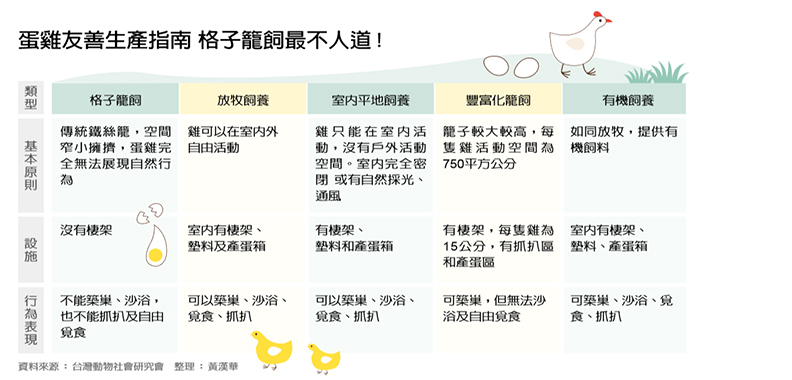 王武隆讓雞開心趴趴走 不施藥也能對抗禽流感_img_1