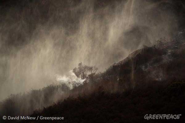 8張照片,看「溫室地球」的極端氣候場景_img_5