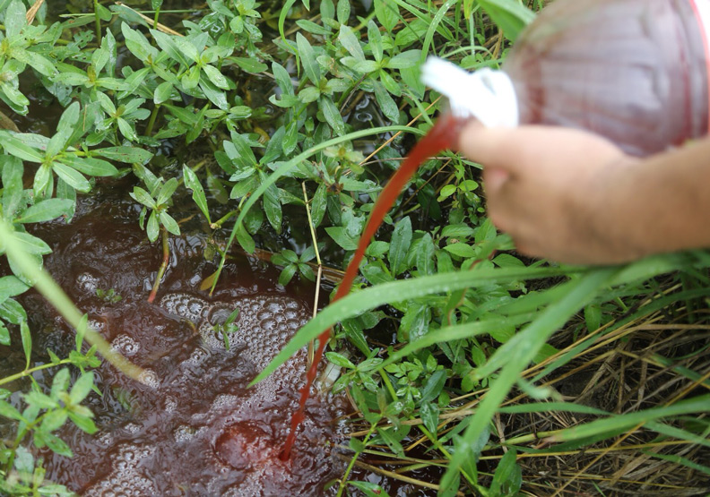 從實驗室走入田地 許又仁用科技打造「循環農業」_img_1