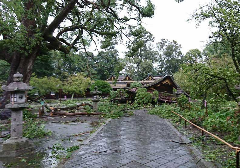 照片為平野神社受損狀況。圖取自平野神社推特