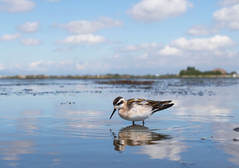 橫掃無數攝影大獎!17歲攝影師記錄大自然的無限感動_img_3