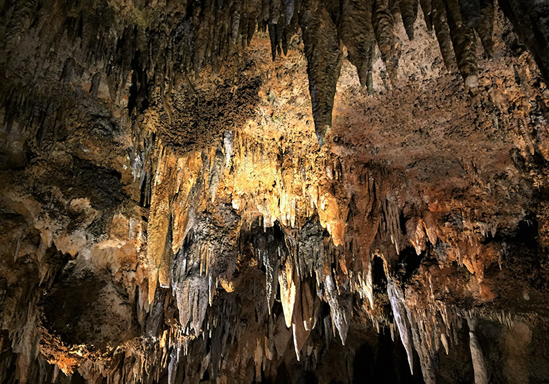 洞穴深處藏有管風琴?美東最大鐘乳石「活洞穴」_img_5