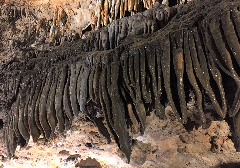 洞穴深處藏有管風琴?美東最大鐘乳石「活洞穴」_img_6
