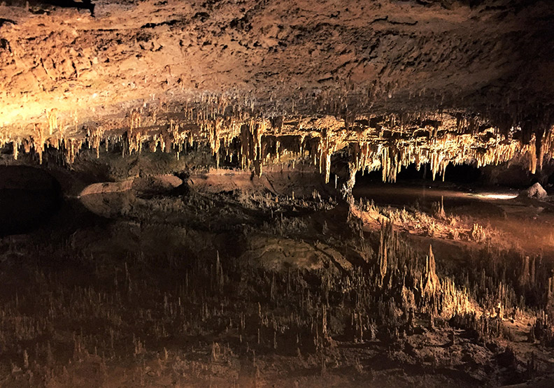 洞穴深處藏有管風琴?美東最大鐘乳石「活洞穴」_img_9