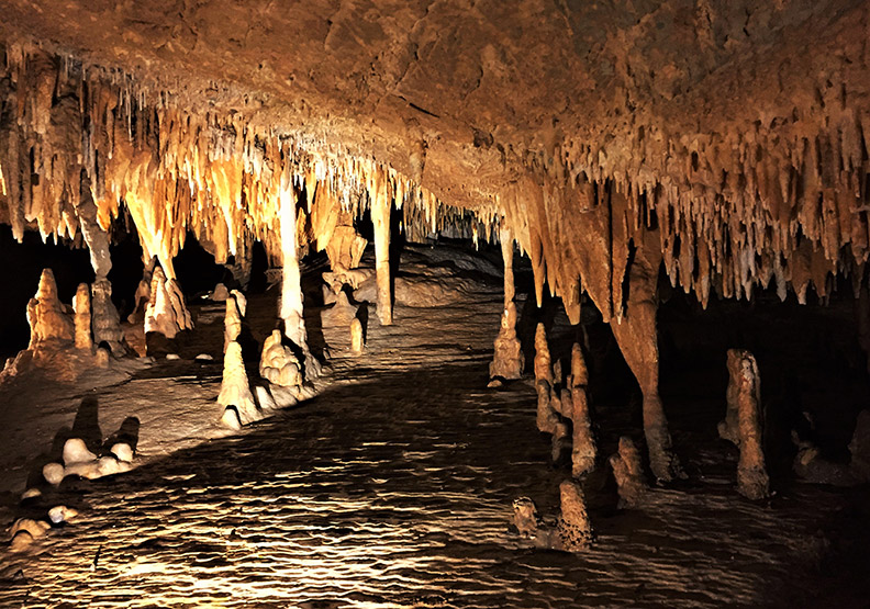 洞穴深處藏有管風琴?美東最大鐘乳石「活洞穴」_img_11