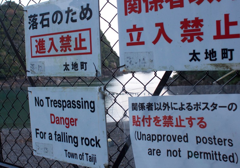 血色海灣再現:日本獵海豚傳統的生態悲歌_img_5