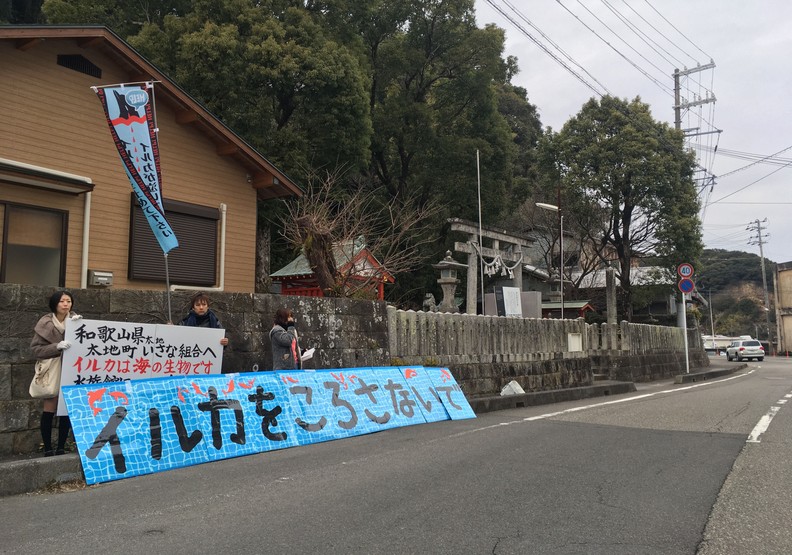 血色海灣再現:日本獵海豚傳統的生態悲歌_img_2