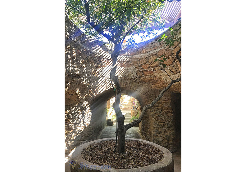 夏天太熱!他決定挖透岩石建「地下花園」_img_4