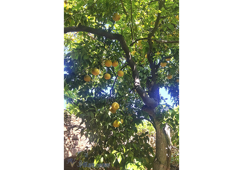 夏天太熱!他決定挖透岩石建「地下花園」_img_9