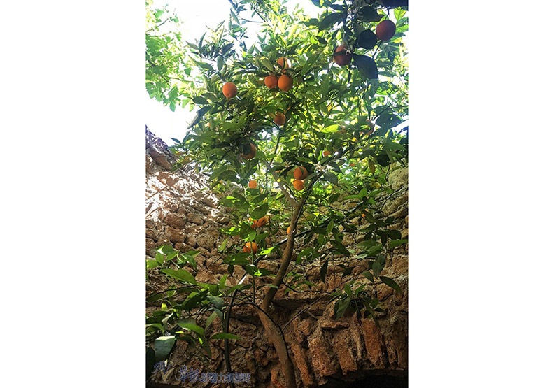 夏天太熱!他決定挖透岩石建「地下花園」_img_14