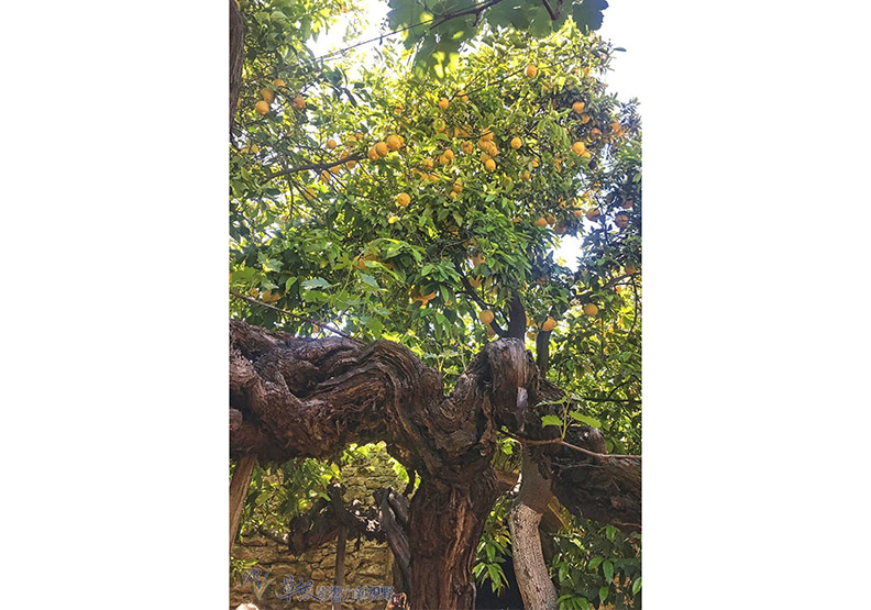 夏天太熱!他決定挖透岩石建「地下花園」_img_23
