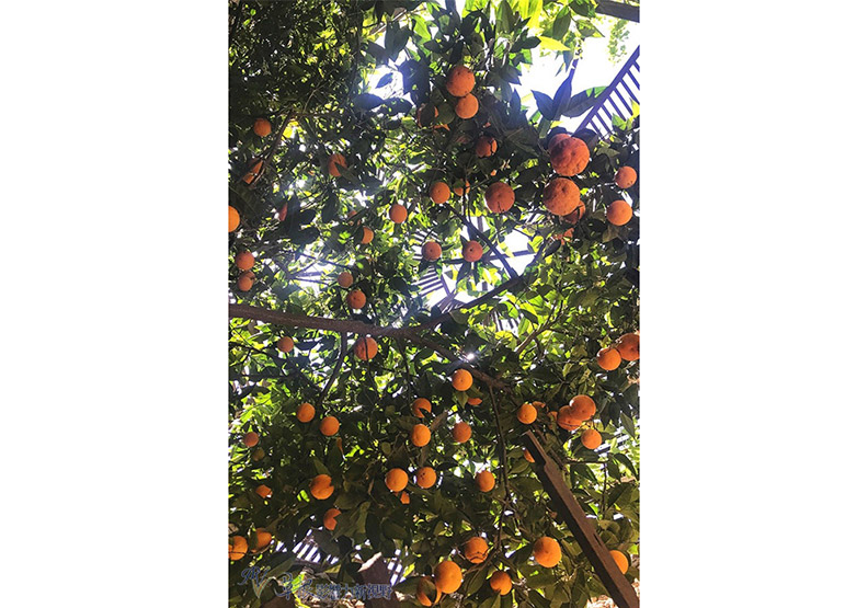 夏天太熱!他決定挖透岩石建「地下花園」_img_27